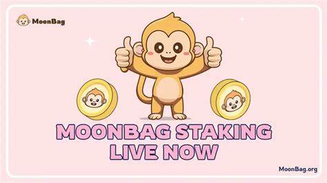 Moving Beyond Dogecoin and XRP: MoonBag Presale is Just Around the Corner! - Techpoint Africa