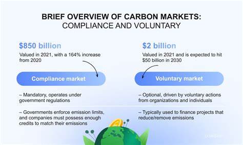 Tokenization for net zero: The opportunities and challenges of digitalizing voluntary carbon markets