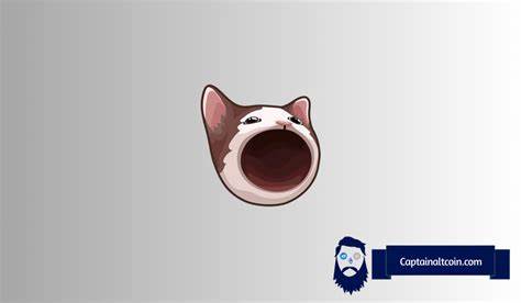 POPCAT Among Rare Few Memes Still in The Green — New Projects with 100x Potential - Captain Altcoin
