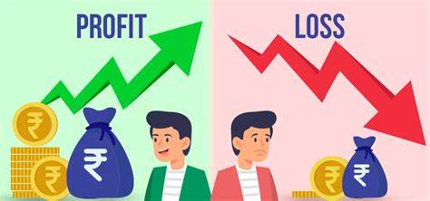 opidora774/Profit-Loss-2025