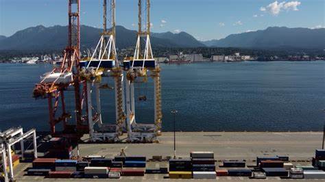 How will the ripple effects of the U.S. port strikes impact the dairy sector? – RFD-TV - Crypto News BTC