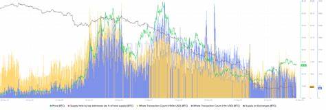 Bitcoin Whale Activity Drops Significantly: What Does It Mean for BTC’s Future