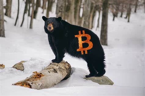 Bitcoin Bull Trap: Bears Begin To Dig Claws Into Crypto Trend - NewsBTC