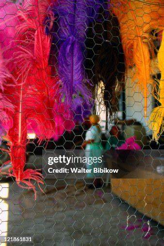 As Bright as a Feather: Ostriches, Home Dyeing, and the Global Plume Trade
