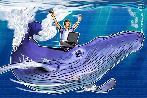 Bitcoin Flat Near $61K as Whales Continue to Accumulate; XRP Down 10% as SEC Appeals Case