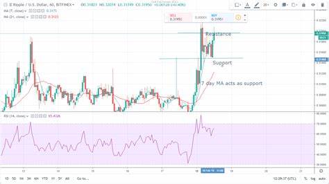 Last Year Belonged to XRP and Cardano (ADA), Which Altcoin Will Lead Gains in 2025