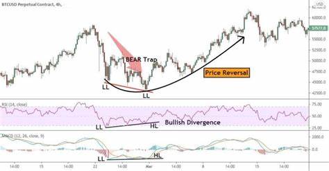 Analyst warns of a Bitcoin bear trap before the spike - Finbold - Finance in Bold
