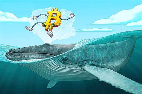 Bitcoin Price Prediction as BTC Blasts Toward All-Time High – Are Whales Buying Again? - Cryptonews