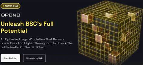 What Is opBNB? BNB’s Optimistic Layer 2 Rollup - CoinGecko Buzz