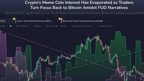 DOGE, ADA and AVAX Holders Are Adding This Altcoin To Their Long-Term Investments - The Cryptonomist