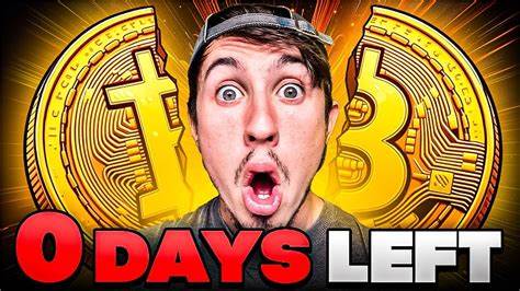 Top 5 Meme Coins to Buy That Will Explode After Bitcoin Halving - CoinGape