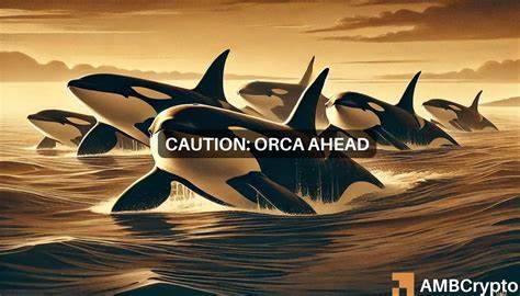 Orca crypto price prediction: Buying opportunity ahead, or bull trap? - AMBCrypto News