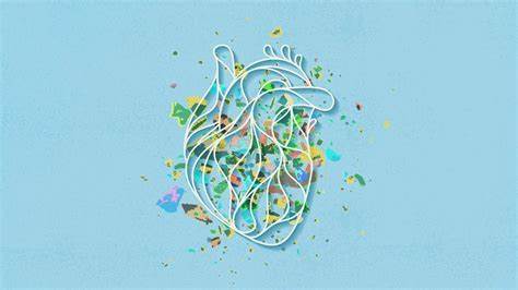 New Study Raises Alarms About Plastics and Heart Disease. Here's What to Know