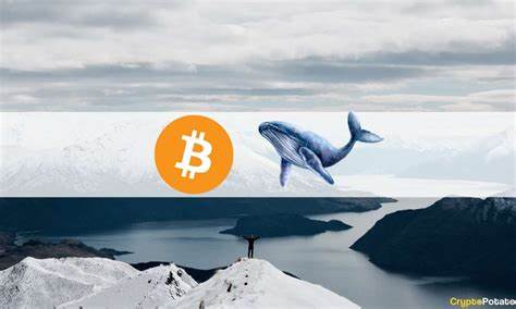 Krypto-News: Neues Hoch bei Bitcoin-Wal-Käufen deutet auf Rally hin