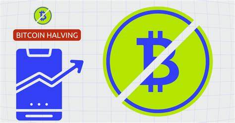Bitcoin Halving 2024: Is the Rally Over? Analyst Debate Post-Halving BTC Price Outlook - Coinpedia Fintech News