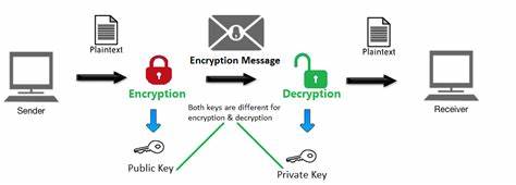What is wallet encryption and why it matters