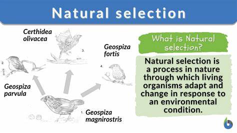 A.I. can't beat billions of years of natural selection