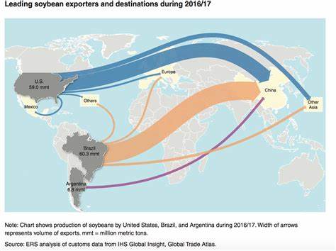US farmers say Brazil still has edge in China's soybean market despite trade truce