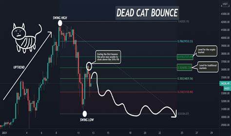 Bear trap or dead cat bounce? Bitcoin reclaims $60k support, stocks and gold see minimal gains - Kitco NEWS