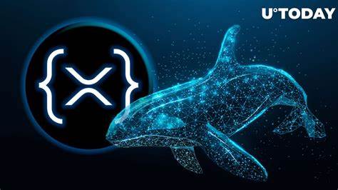 Key XRP Ledger Whale Wallets Boost Holdings Despite Reduced Activity - U.Today