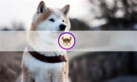 What is Floki Inu (FLOKI)? Everything You Need to Know About the Trending Memecoin - CryptoPotato