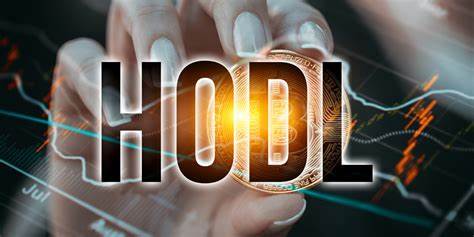 To HODL or not to HODL: Bitcoin ETFs poised to redefine crypto investment philosophies - Investor Daily