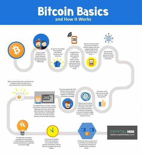 Bitcoin Basics: A Beginner's Guide - Coin Culture