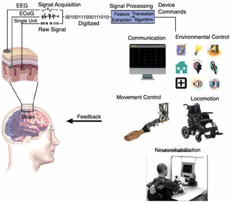 Native Brain-Computer Interface Integration with iPhone