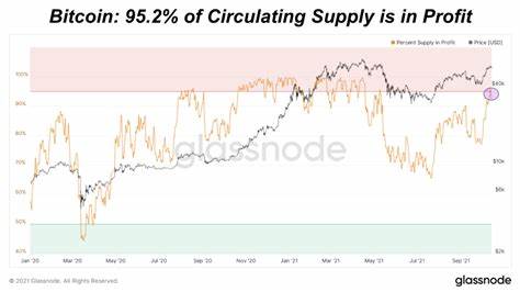 Bitcoin circulating supply in profit hits multi-year high - The Block