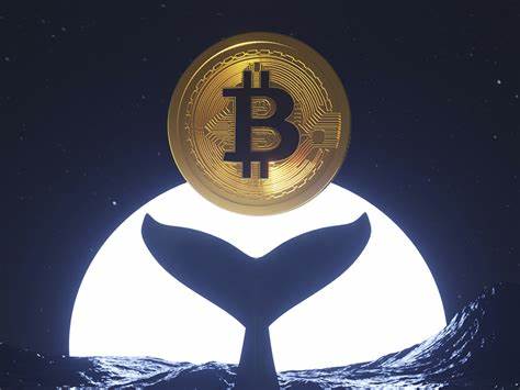 Ancient Bitcoin Whale Awakens After 10 Years of Dormancy: Details - U.Today