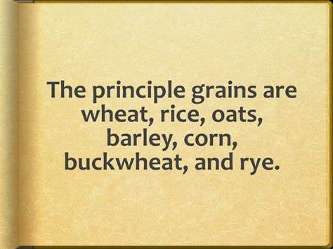 Rye Principles