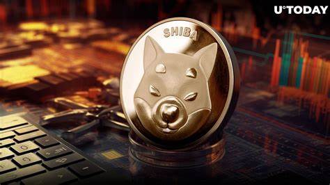 SHIB Official: “Don’t Panic” – Here’s What’s Happening - U.Today