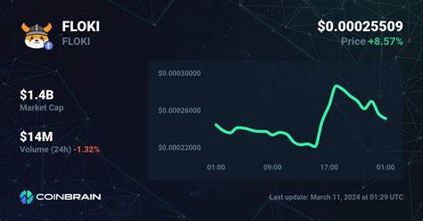 Floki Price or Bitgert: The Best Crypto to Buy for Long-Term Gains