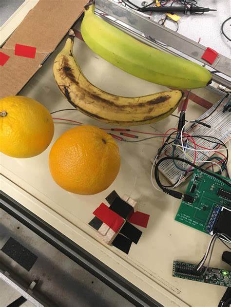 Building an avocado ripeness detector using machine learning