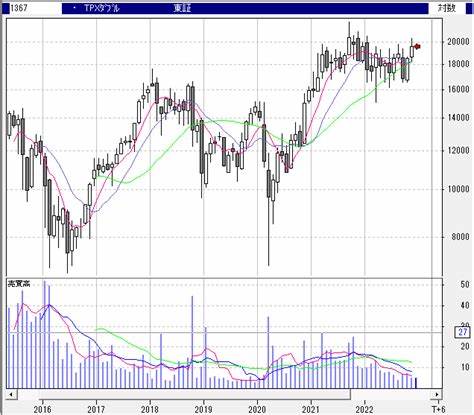 Daiwa Japan TOPIX Leveraged (2x) (1367)