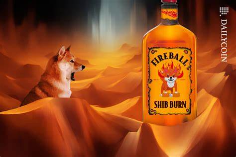 SHIB Resurgence Overshadowed by Shibburn’s Massive Burn Drop - DailyCoin
