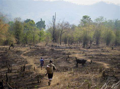 Reduction of deforestation by agroforestry in forests of Southeast Asia