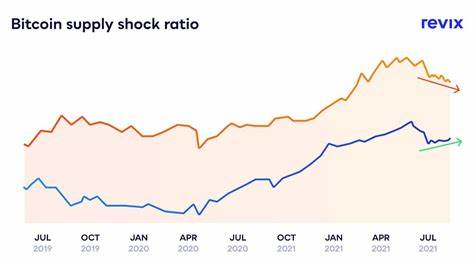 4 reasons the crypto bull market is still far from over - Daily Maverick