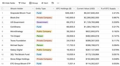 Kaufen uns die großen Firmen alle Bitcoin weg?