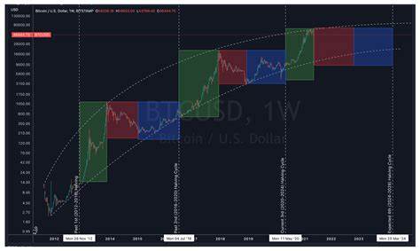 Analysts Predict New Bitcoin All-Time High in 100 Days Based on Data and Macroeconomic Charts
