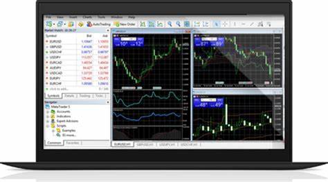 Coinexx Adds MT4 and Moves Registered Office to St. Vincent - Finance Magnates
