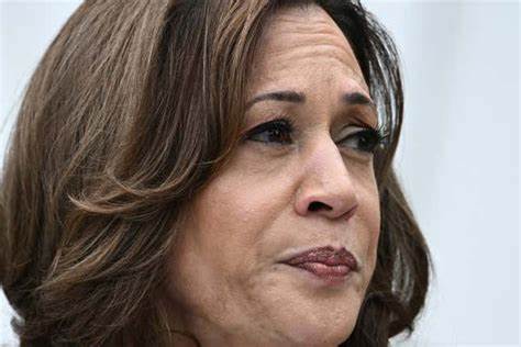 Kamala Harris Will Not Attend the Bitcoin Conference - CryptoPotato