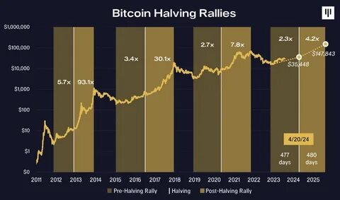 'Rat race to the bottom': How Bitcoin's 'halving' could crunch crypto miners - Capital Brief