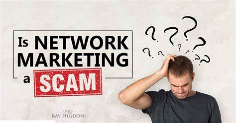 The Scam Network