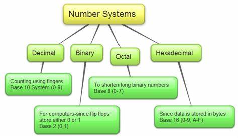 Numerical Representations in Computer Systems