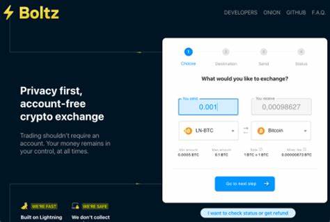 Boltz Unveils BTCPay Server Plugin To Facilitate Bitcoin Lightning Payments - BTC Times