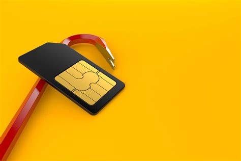 SIM Card Swindler 'Baby Al Capone' Agrees to Pay Back $22 Million to Hacked Crypto Investor - Gizmodo