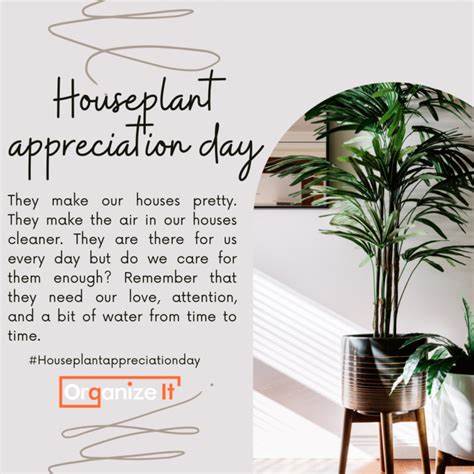 An Ode to Houseplant Programming