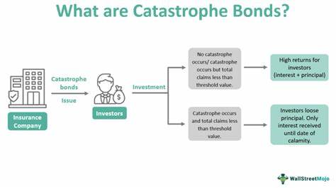 Catastrophe Bond ETF Seed Investors Pull Back: Report
