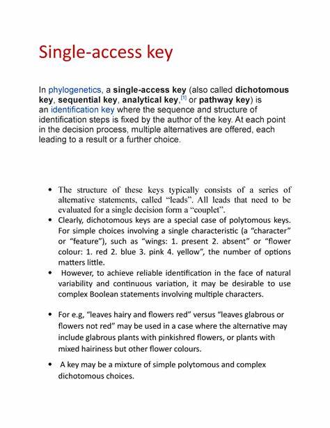 Single-access key